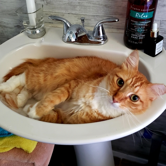 Just Breathe.. - Picture 5 of 5